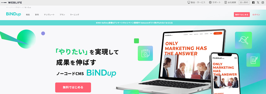 BiNDupのホームページの画像