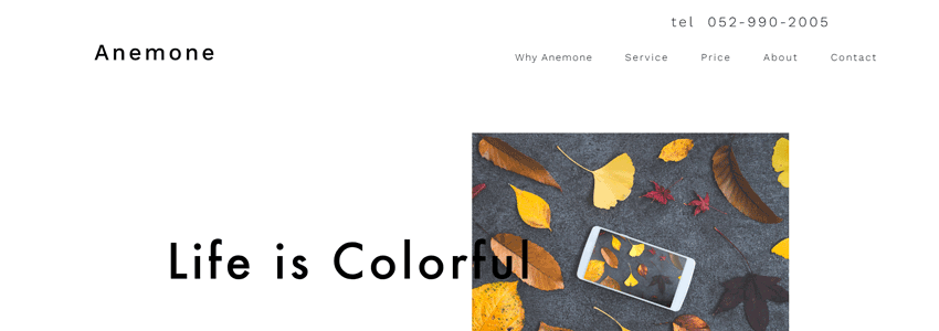 株式会社Anemone