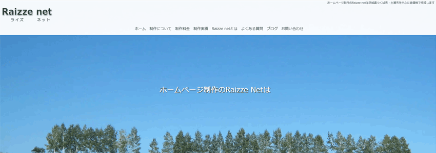 Raizze net