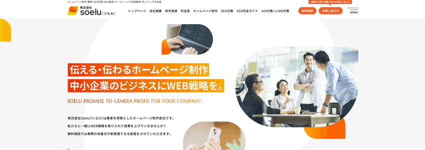 株式会社Soelu